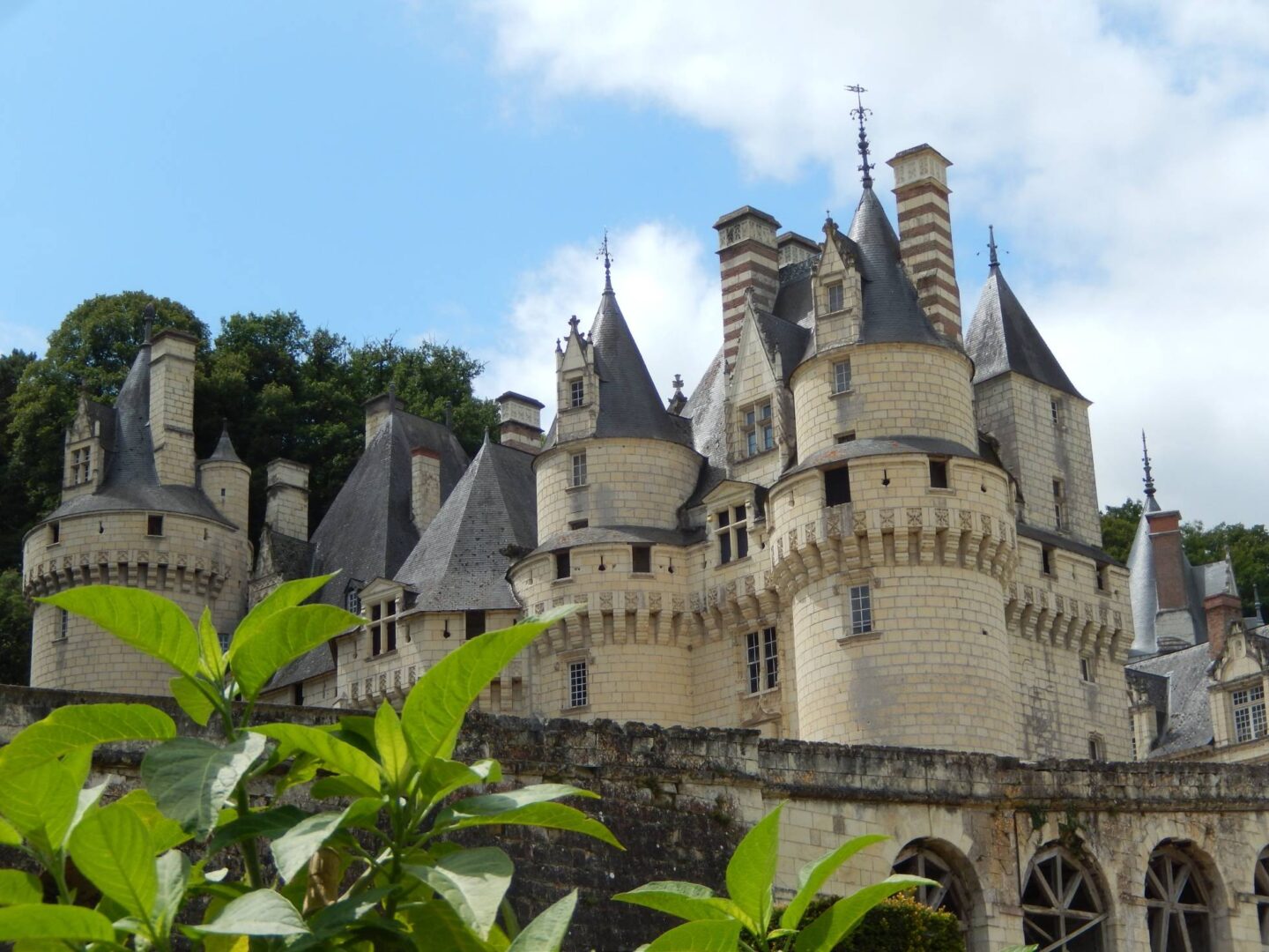 Dag 4 Fietsen langs de Loire jadorelyon chateau dusse 934897