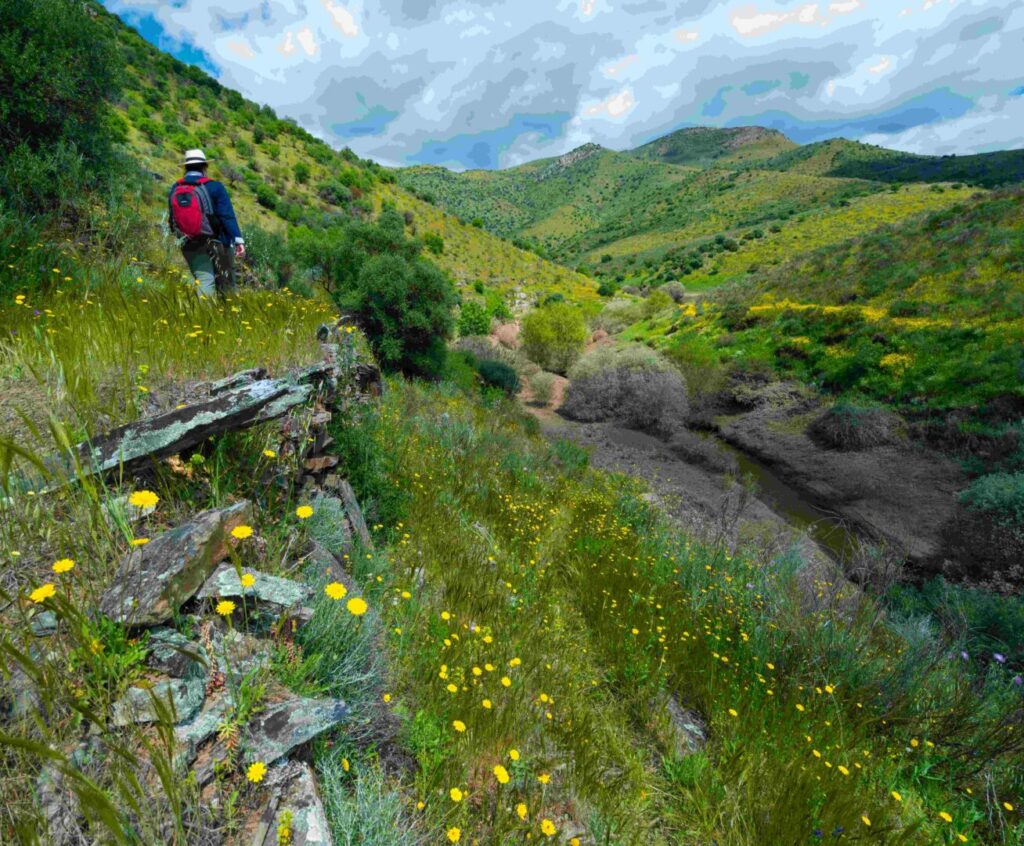Wandelen in de natuur Rewilding shutterstock 1886219536