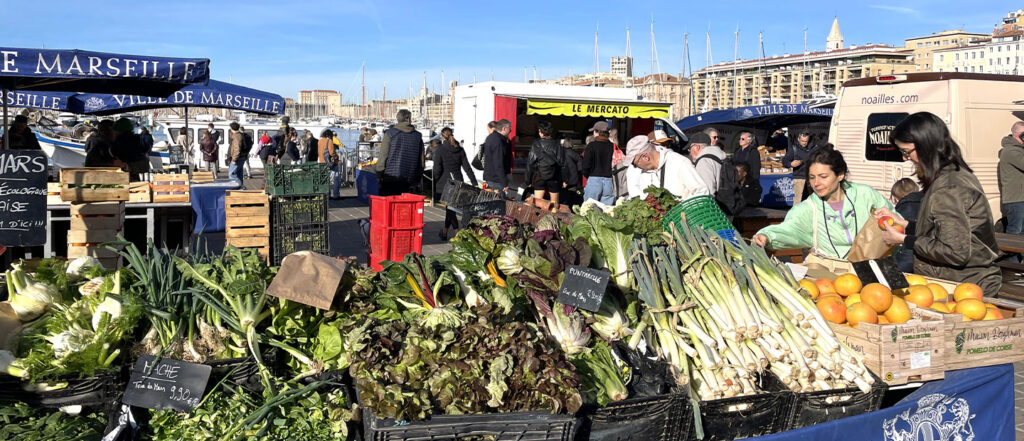 ontrack travel 0006 Header rechts FCIT Marseille Vieux Port (18)