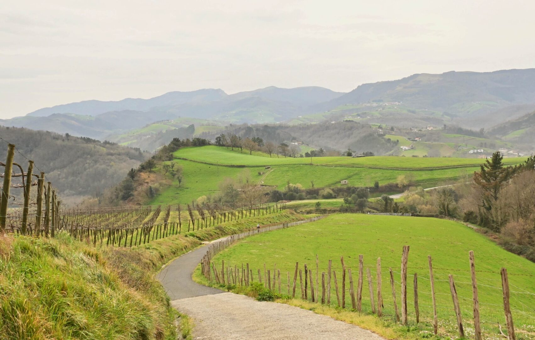 Hoogtepunten Spanje San Sebastian hike Camino de Santiago