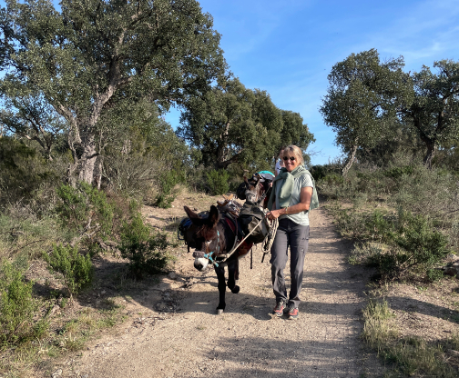 Met de trein naar Spanje wandelen in de Pyreneeen GPS CR