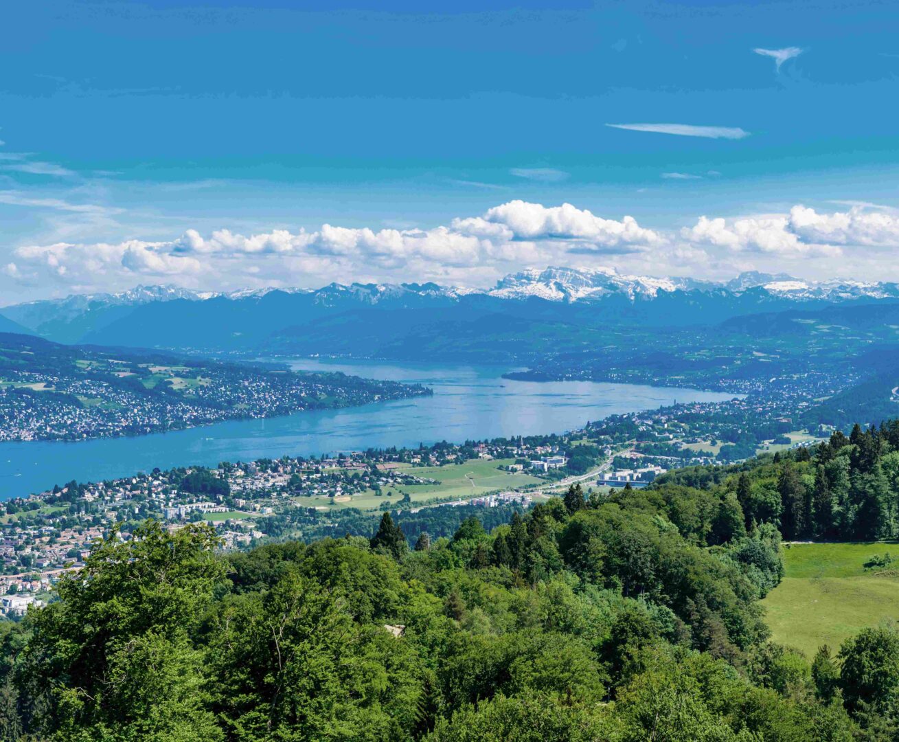 Optie dag 2 Met de trein naar Zwitserland Zurich Uetilberg shutterstock 1733659244