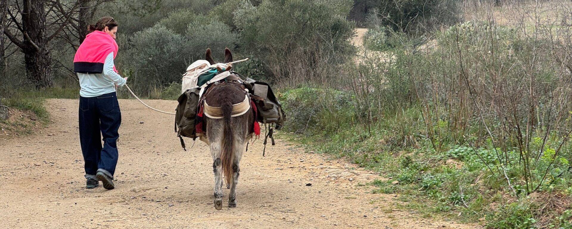 Met de trein naar Spanje-wandelen in de Pyreneeen
