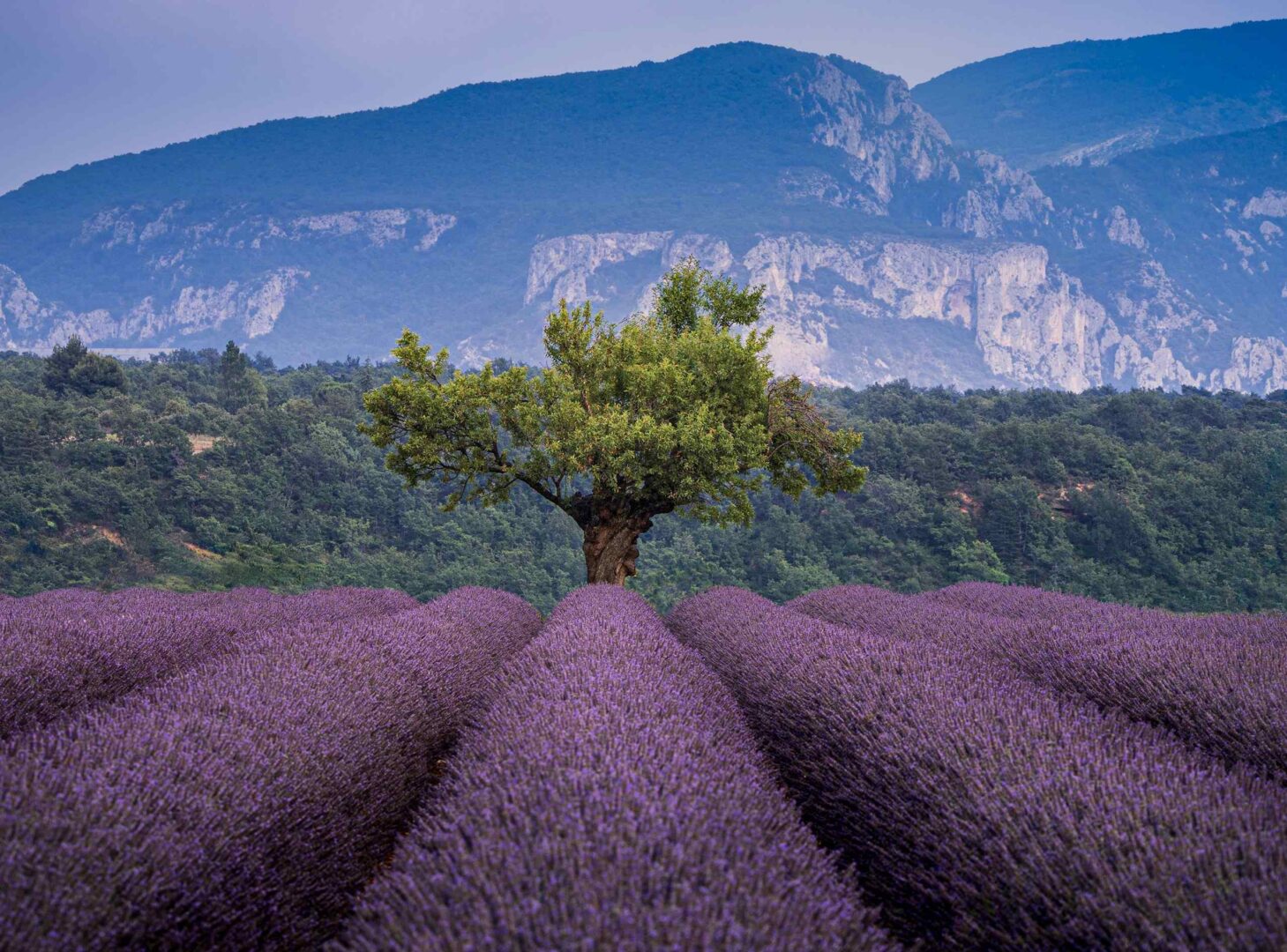 Luberon pexels le sixieme reve