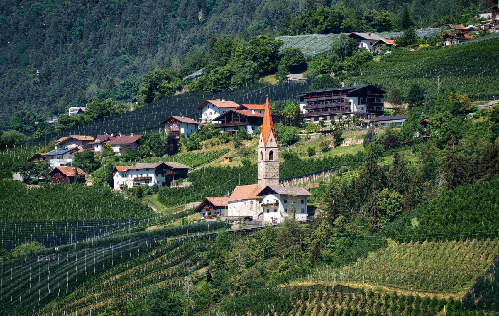 Rondreis Dolomieten Südtirol Weinstrasse pexels joerg hartmann