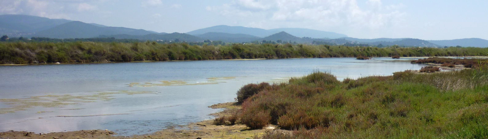vakantie cote d'azur-Salins des Pesquiers